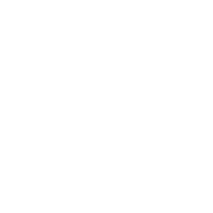 GDi logo