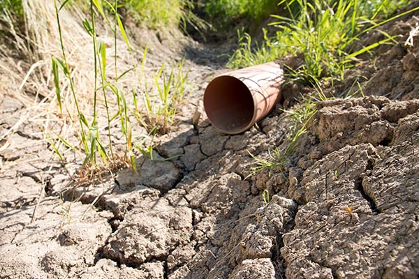 natural disaster drought