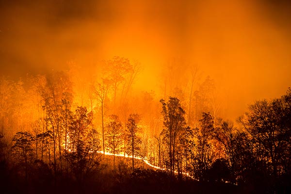 natural disaster wildfire
